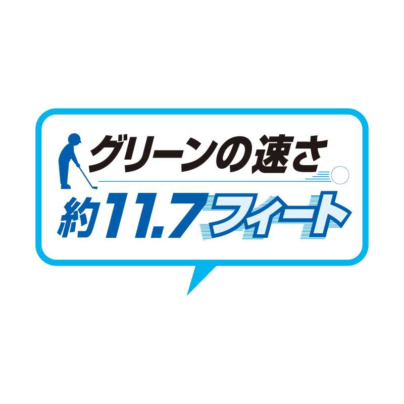 クローバーターフ カールタイプ 13mm 幅1m×10m PAEグローバル CTK13 人工芝