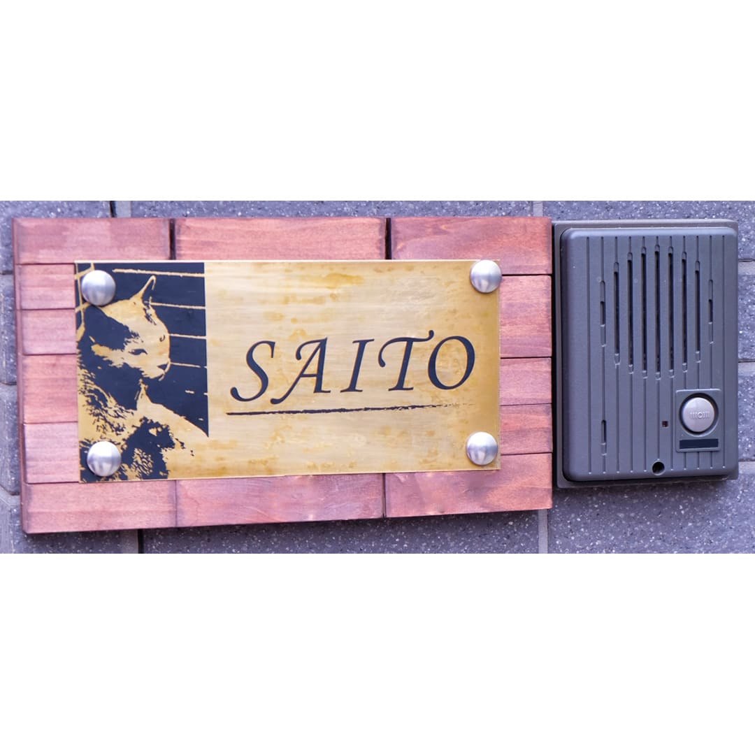 いたずら防止キャップ 16mmタイプ ステンレスアンティークブロンズ Abox C-MSXSAB-50【小箱：50組入】ダンドリビス