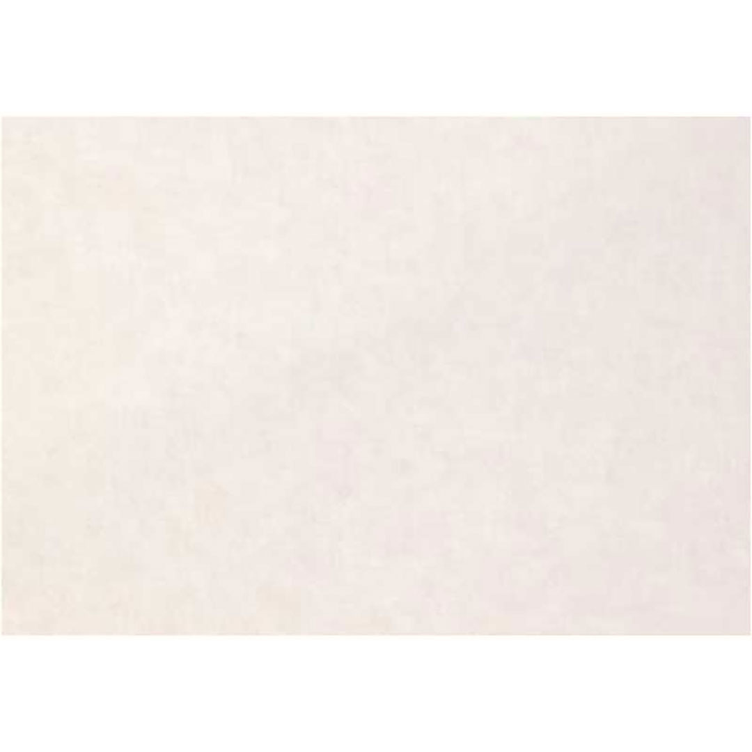 鏡面 アルパレージ A09 910×2450(mm)KAP2A09【ケース販売】2枚 壁面 化粧パネル 内装