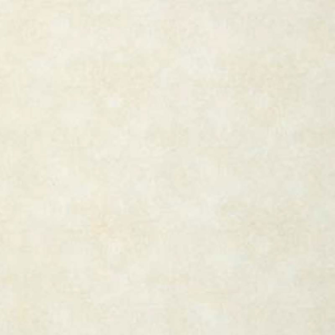 アルパレージ A01 910×2450(mm)AP2A01【ケース販売】2枚 壁面 化粧パネル 内装 浴室 水廻り