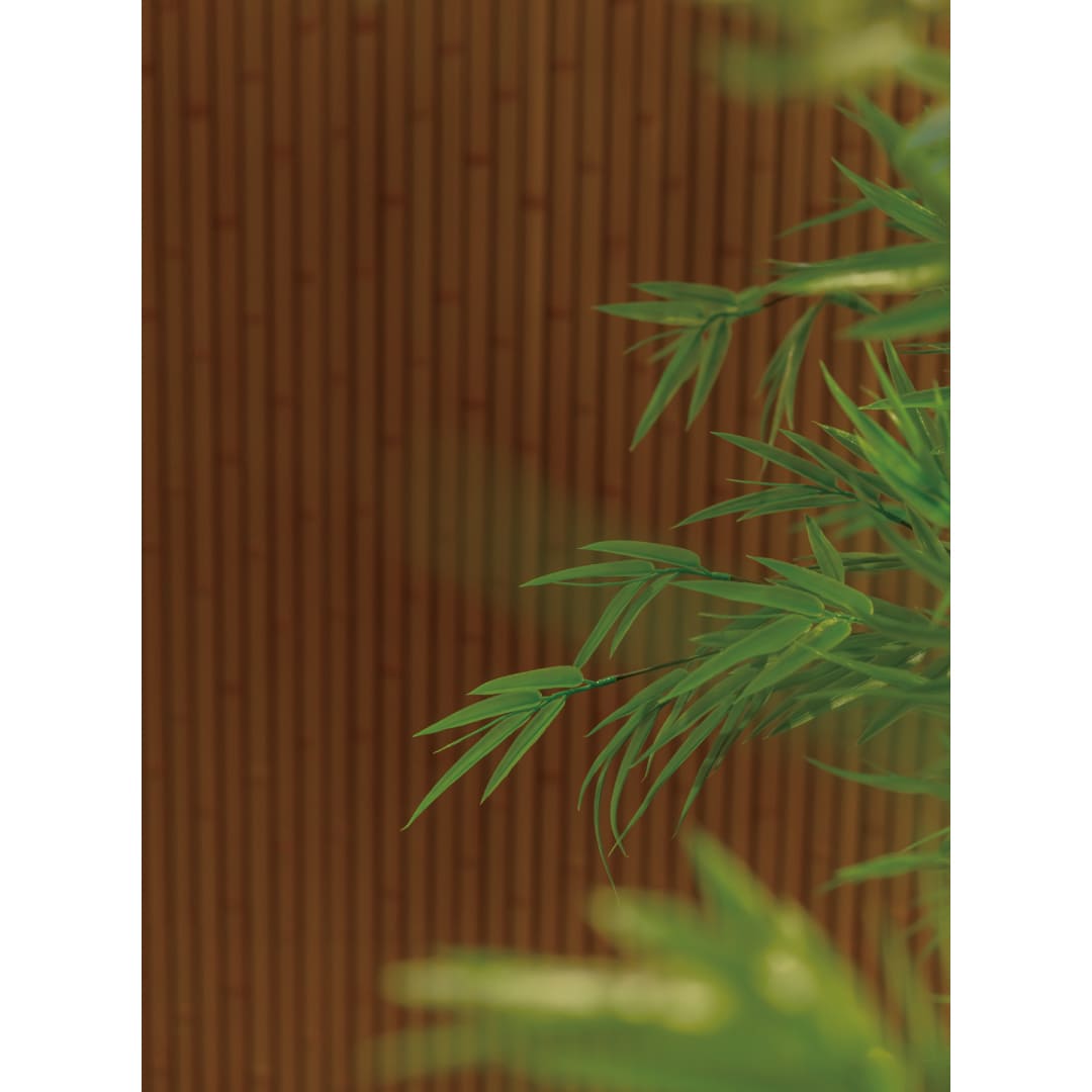 黒竹 使用例