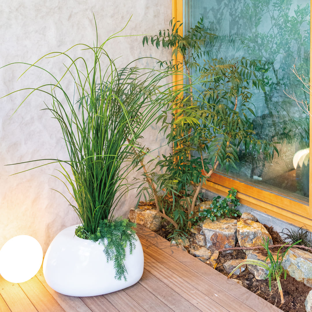 オニオングラス 使用例