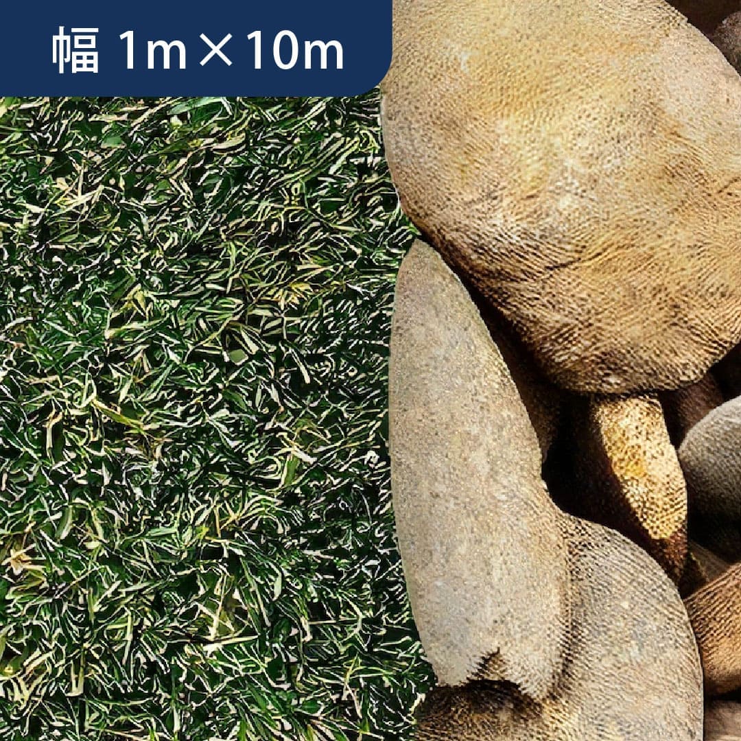 人工芝 リアリーターフ R6 スタンダード ミドル+（ミドルプラス）芝丈25mm 幅1m×10ｍ RET25FR-1-10ERP グリーンフィールド（法人限定）