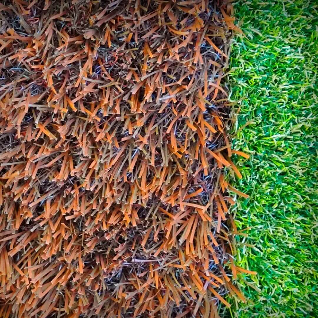 人工芝 リアリーターフ R8 プレミアム マスターズバーク 芝丈60mm 幅1m×5ｍ 植栽マルチングシート RET60MB-1-05BR グリーンフィールド（法人限定）