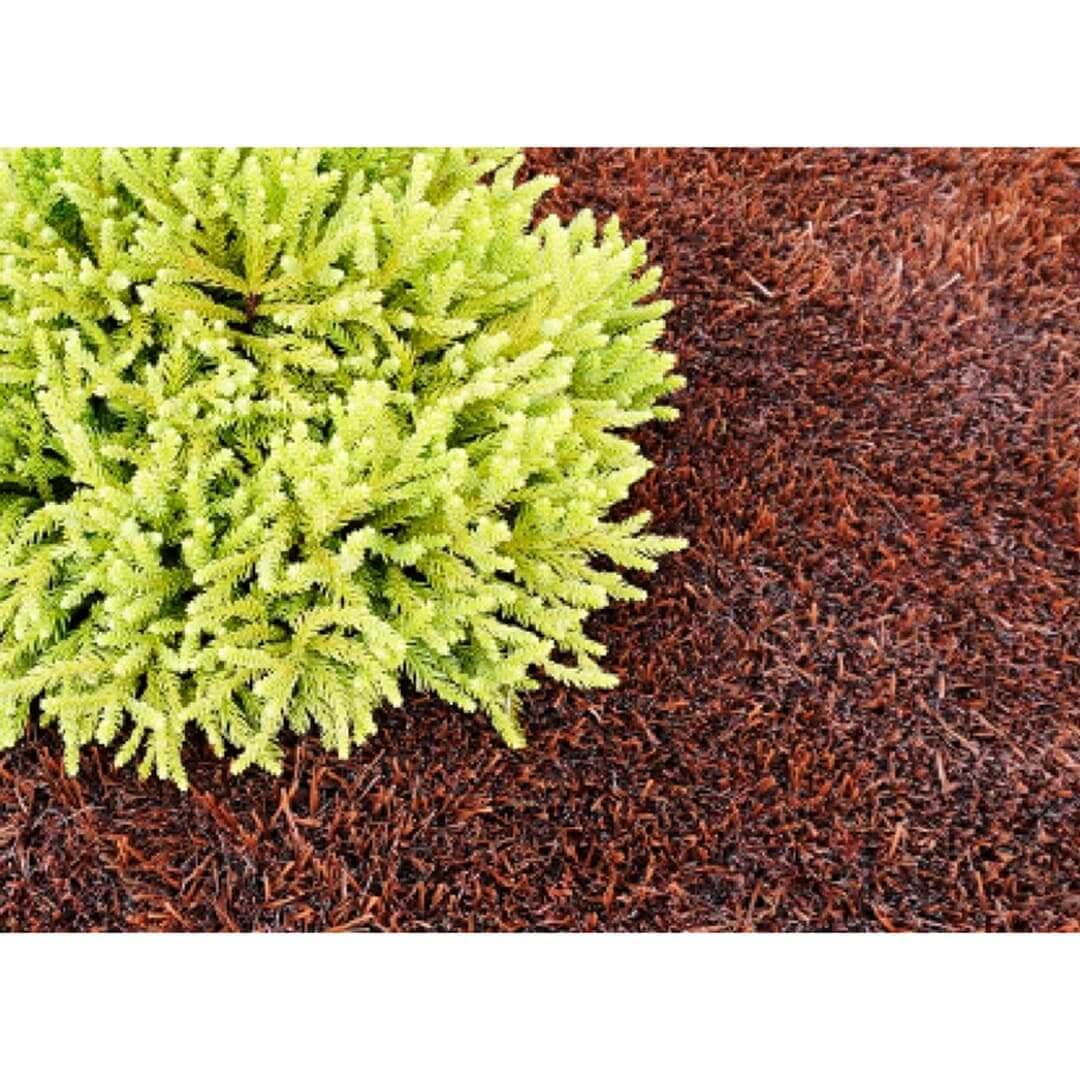 人工芝 リアリーターフ R8 プレミアム マスターズバーク 芝丈60mm 幅1m×5ｍ 植栽マルチングシート RET60MB-1-05BR グリーンフィールド（法人限定）