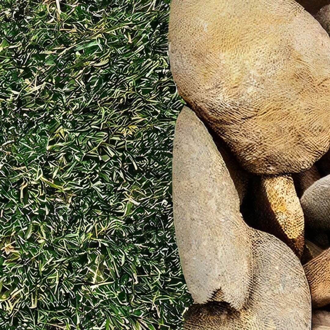 人工芝 リアリーターフ R6 スタンダード ミドル+（ミドルプラス）芝丈25mm 幅1m×10ｍ RET25FR-1-10ERP グリーンフィールド（法人限定）