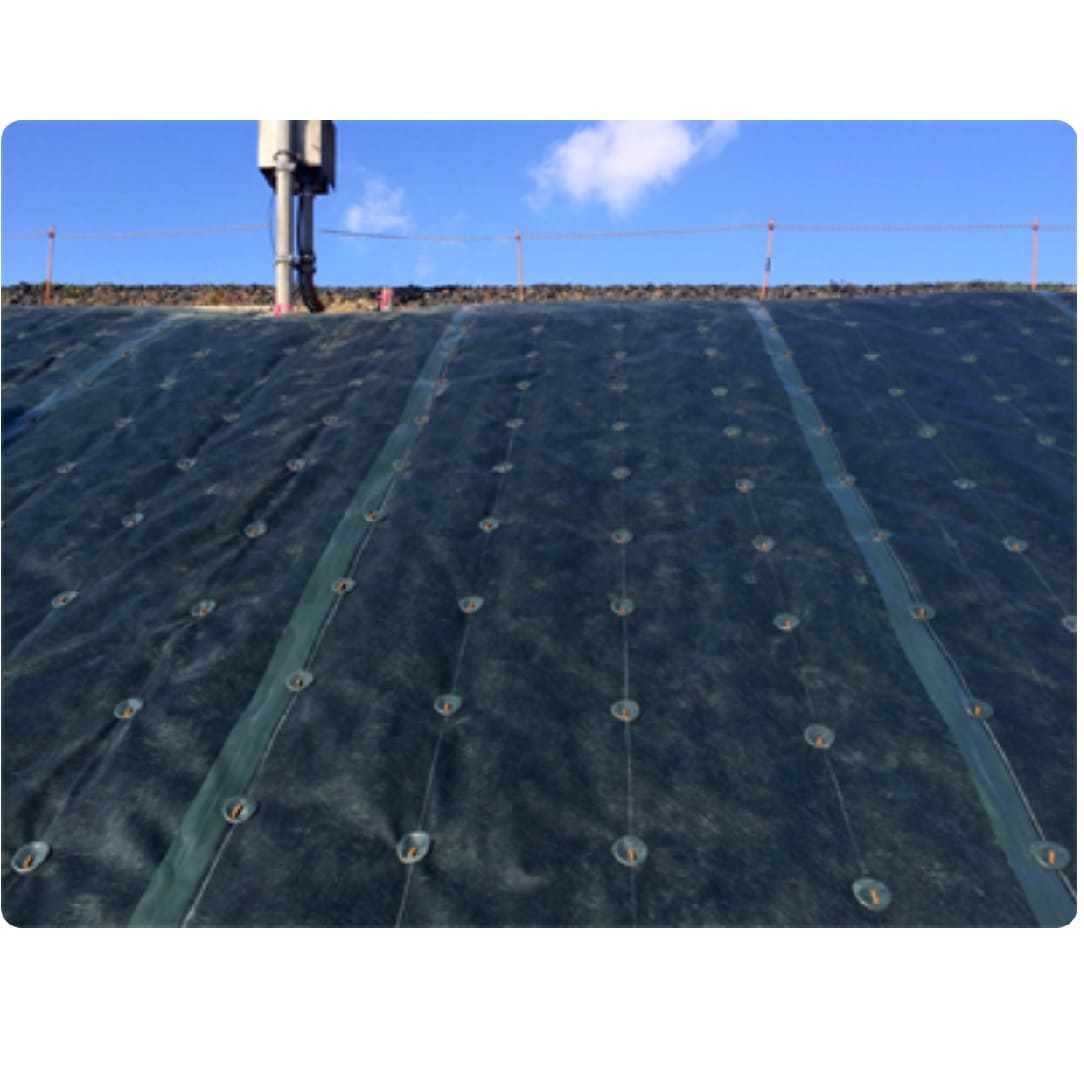 GFワッシャー ブラック【ケース販売】50枚入 防草ワッシャー WS-BL50 グリーンフィールド(法人限定)