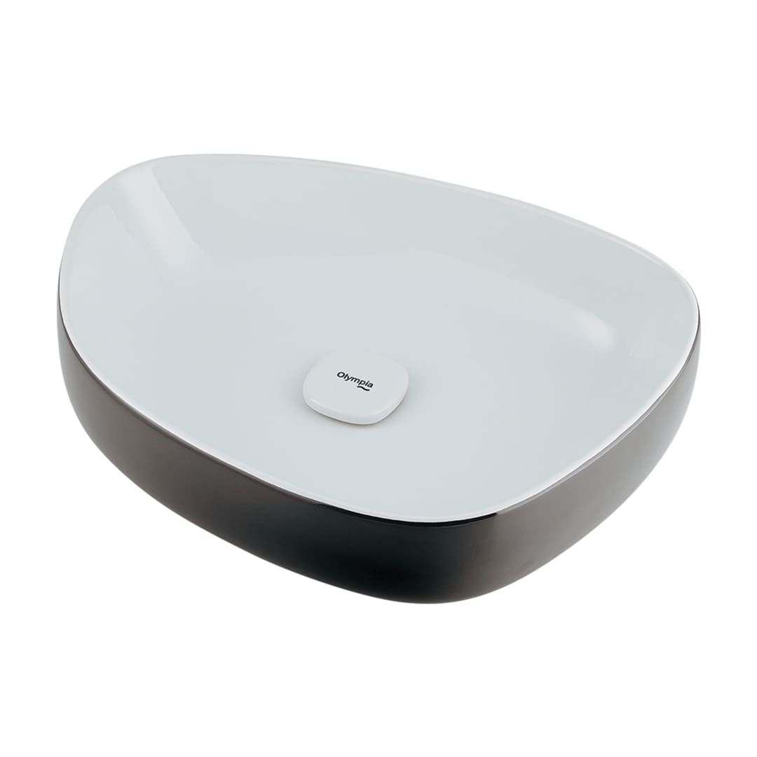 洗面器 ホワイト ブラック 置型 陶器製 #LY-493210WD カクダイ KAKUDAI