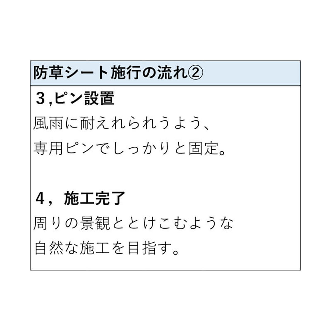 防草シート 防草 除草 2×50（ｍ）
