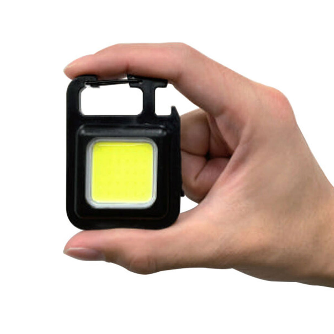 キーチェーンライト AR-4280-2 ライト 軽量 携帯 電池不要 カラビナ状 手のひらサイズ アラオ