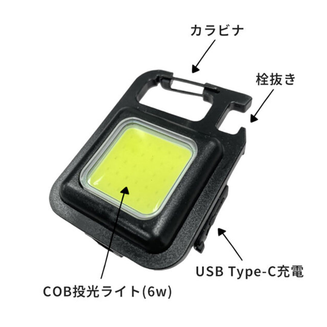 キーチェーンライト AR-4280-2 ライト 軽量 携帯 電池不要 カラビナ状 手のひらサイズ アラオ
