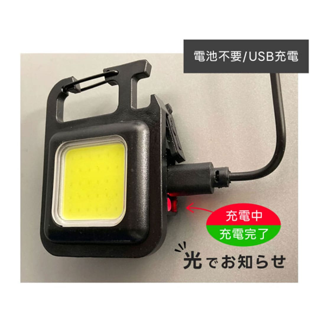 キーチェーンライト AR-4280-2 ライト 軽量 携帯 電池不要 カラビナ状 手のひらサイズ アラオ