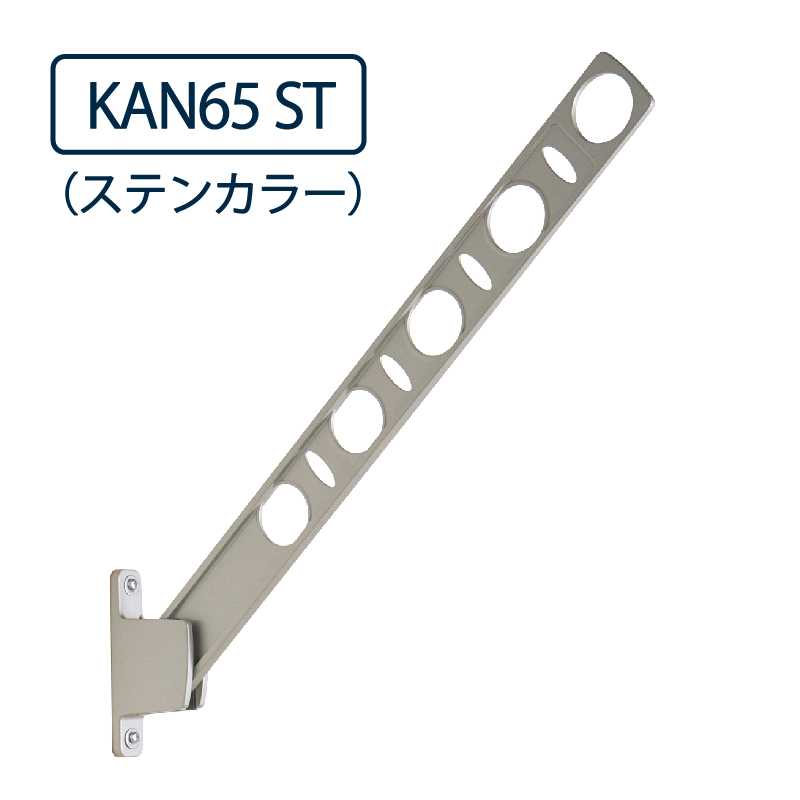 ドライウェーブ 窓壁用 物干し金物 KAN65 ST ステンカラー 650mm 屋外 2本1セット DRY･WAVE タカラ産業