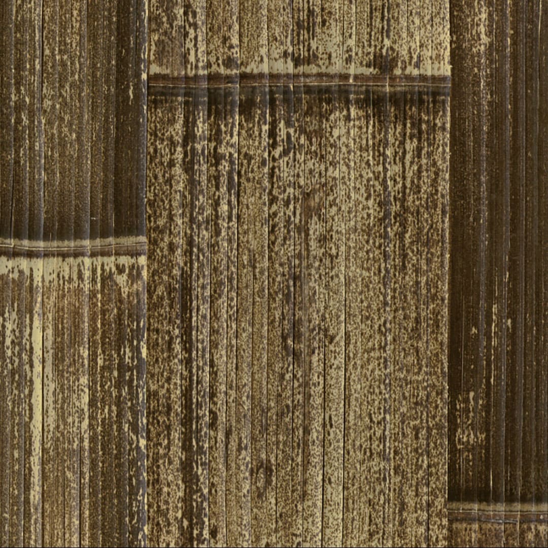 【色柄】虎ひしぎ(和柄)