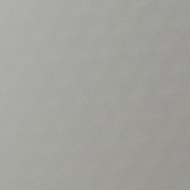 【色柄】グリッターシルバー(メタルカラー)