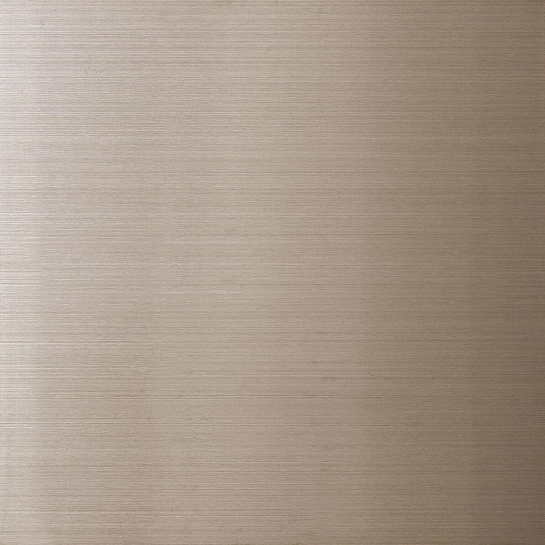 色柄：ステンカラー