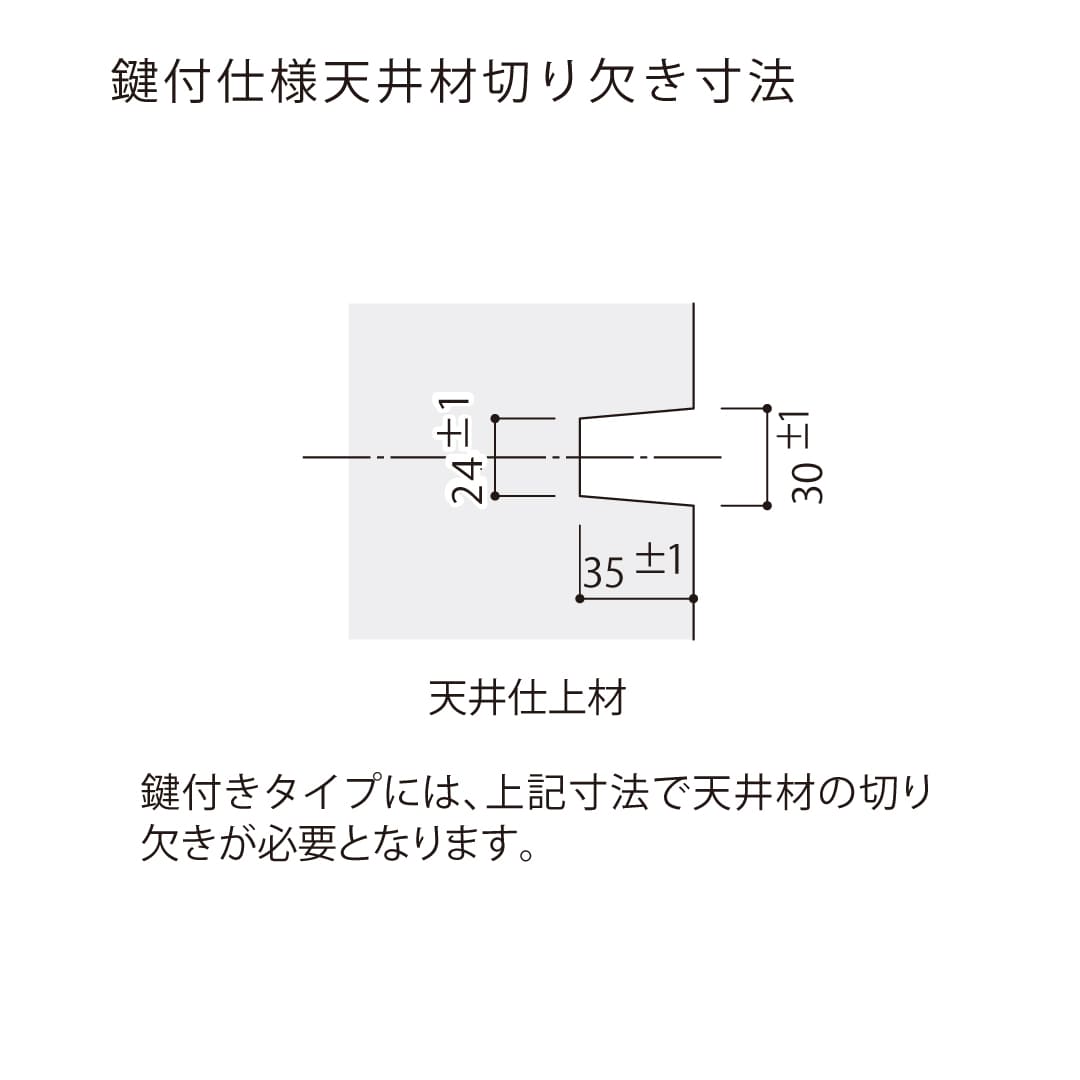 天井点検口 ハイハッチ 鍵付 シルバー NKT NKT-K454 軒天 454×454 耐風圧性能 点検口 ナカ工業