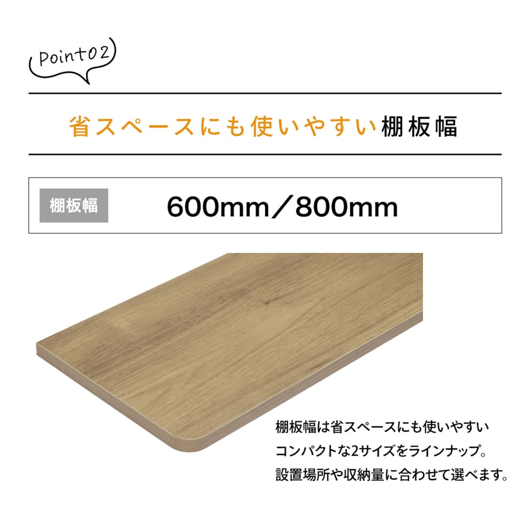 可動棚板セット Bタイプ D300 W600 2段 ダークグレー×SSブラック KTB2D3W6-B-DG 南海プライウッド