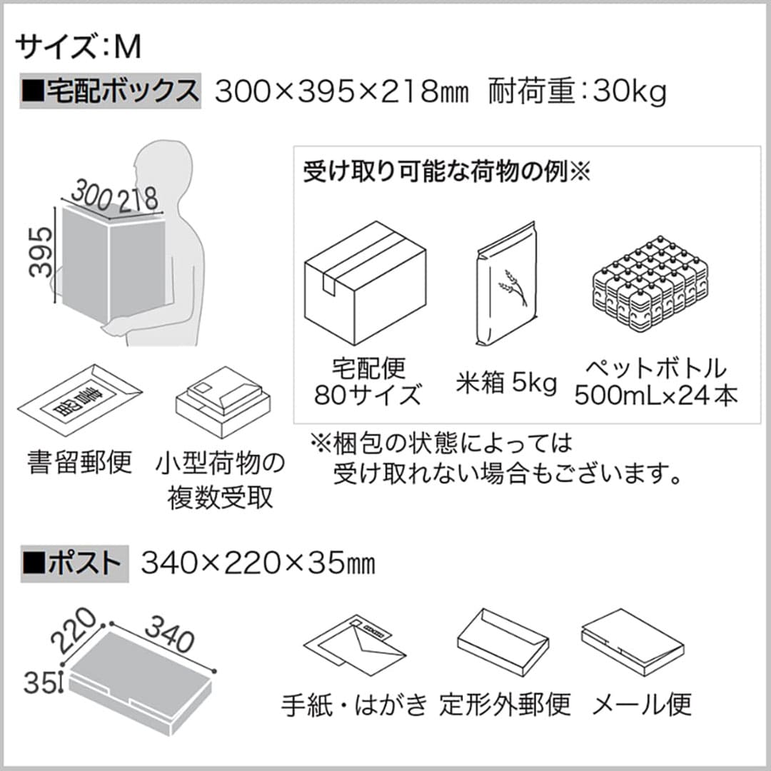 ナスタ Nasta Box+POST 宅配ボックス M本体 TL06L-P315-DW ナスタボックス プラスポスト 左勝手(L)/前入前出 ダークウッド