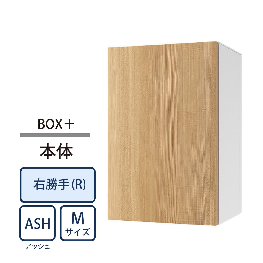 ナスタ Nasta Box+ 宅配ボックス M本体 KS-TL06NPR-P315-ASH ナスタボックス プラス 右勝手(R)/前出前入 アッシュ