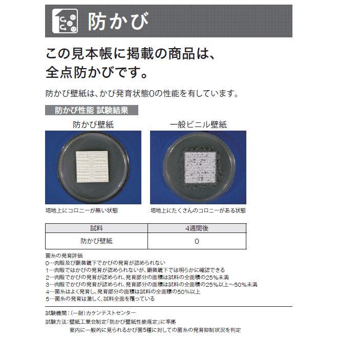 【のり無し】50m×1巻 石目調機能性壁紙 抗菌・撥水・防かび SL PLUS シンコール SLP-866