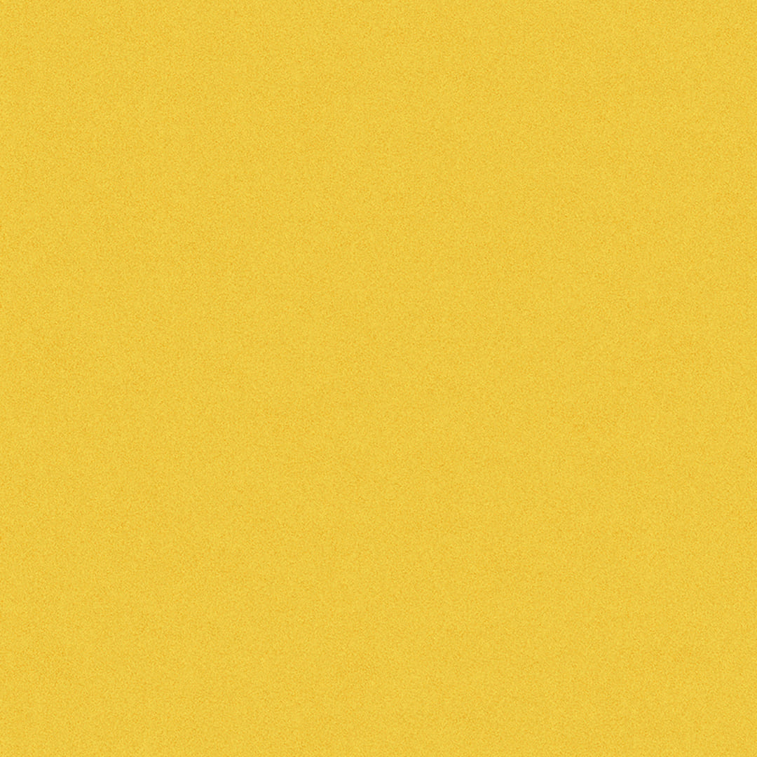 IS2180 フロアタイル（FLOOR TILE）ストーン＆アクセント フラルテ 457.2×457.2×2.5（mm） サンゲツ