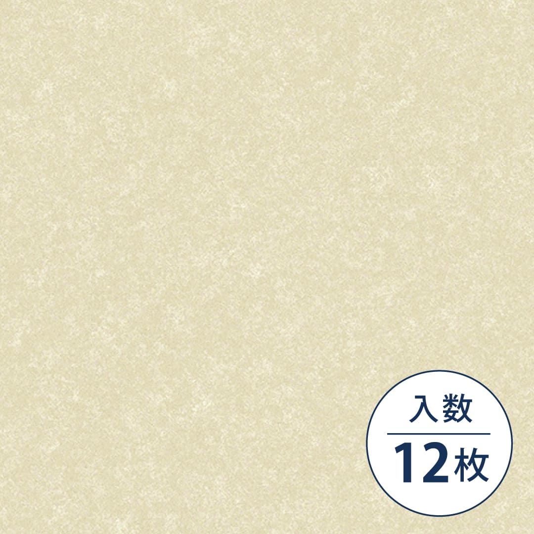 ルースレイ 40NW-EX TTN1126 クラウド 500×500×4（mm）【ケース販売】12枚入 東リ