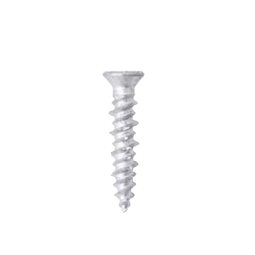 アンカービス ビスピタ サラ コアタマ 4×20mm BS4206【セット販売】180本入 若井産業 WAKAI