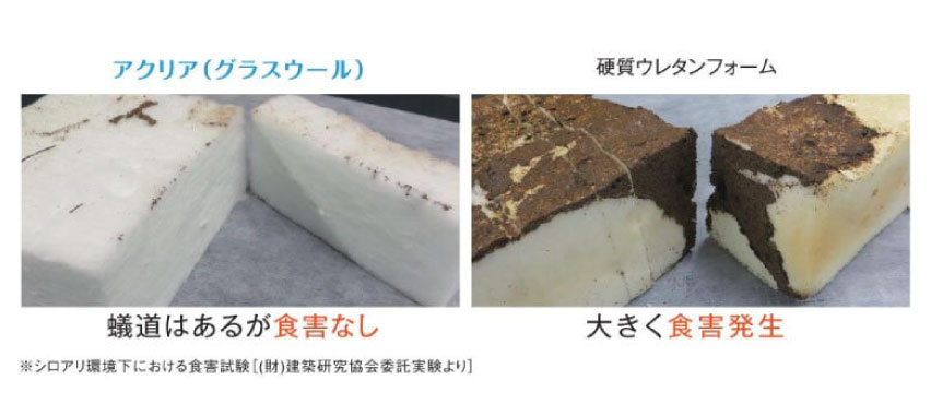 シロアリにも、強い！