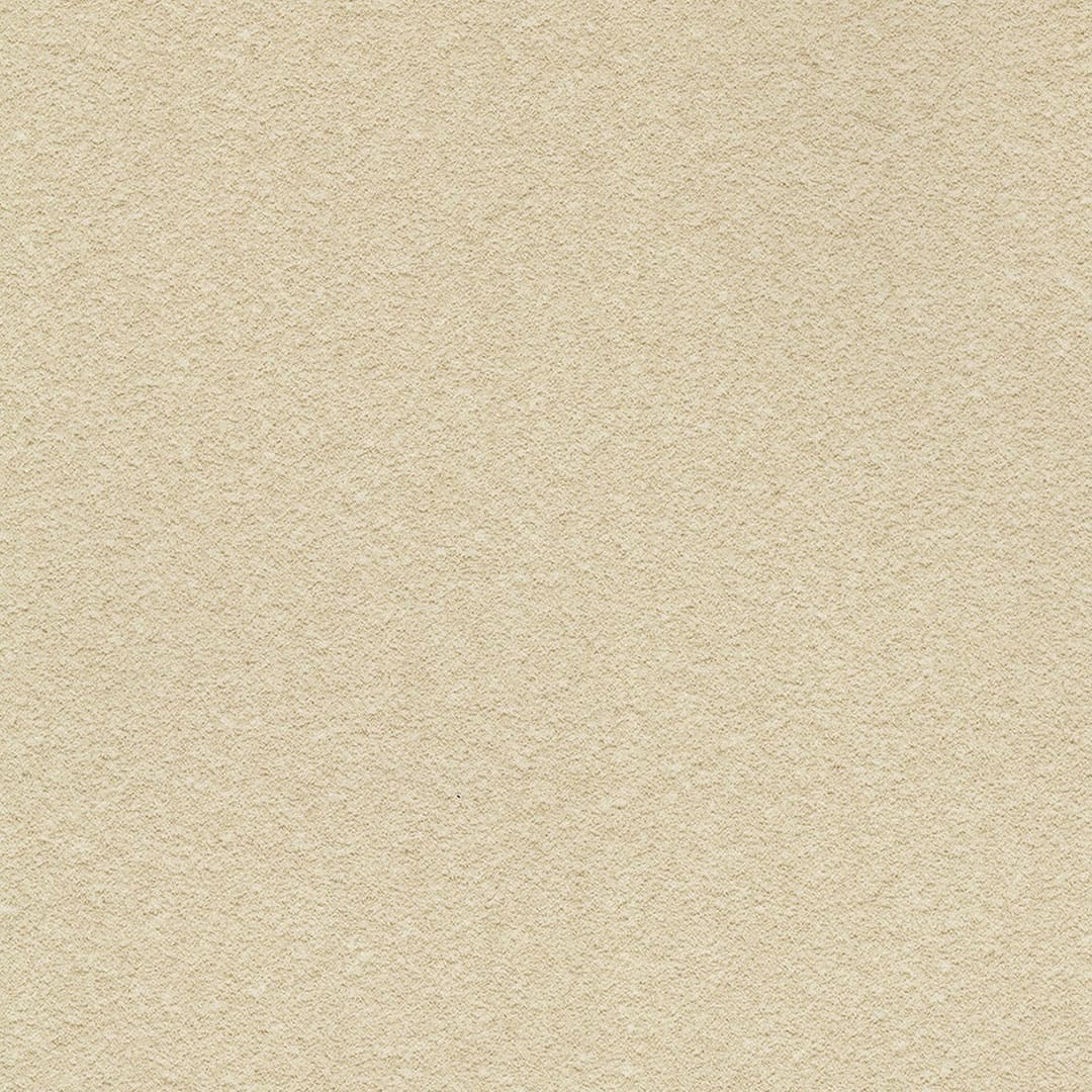聚楽 白茶